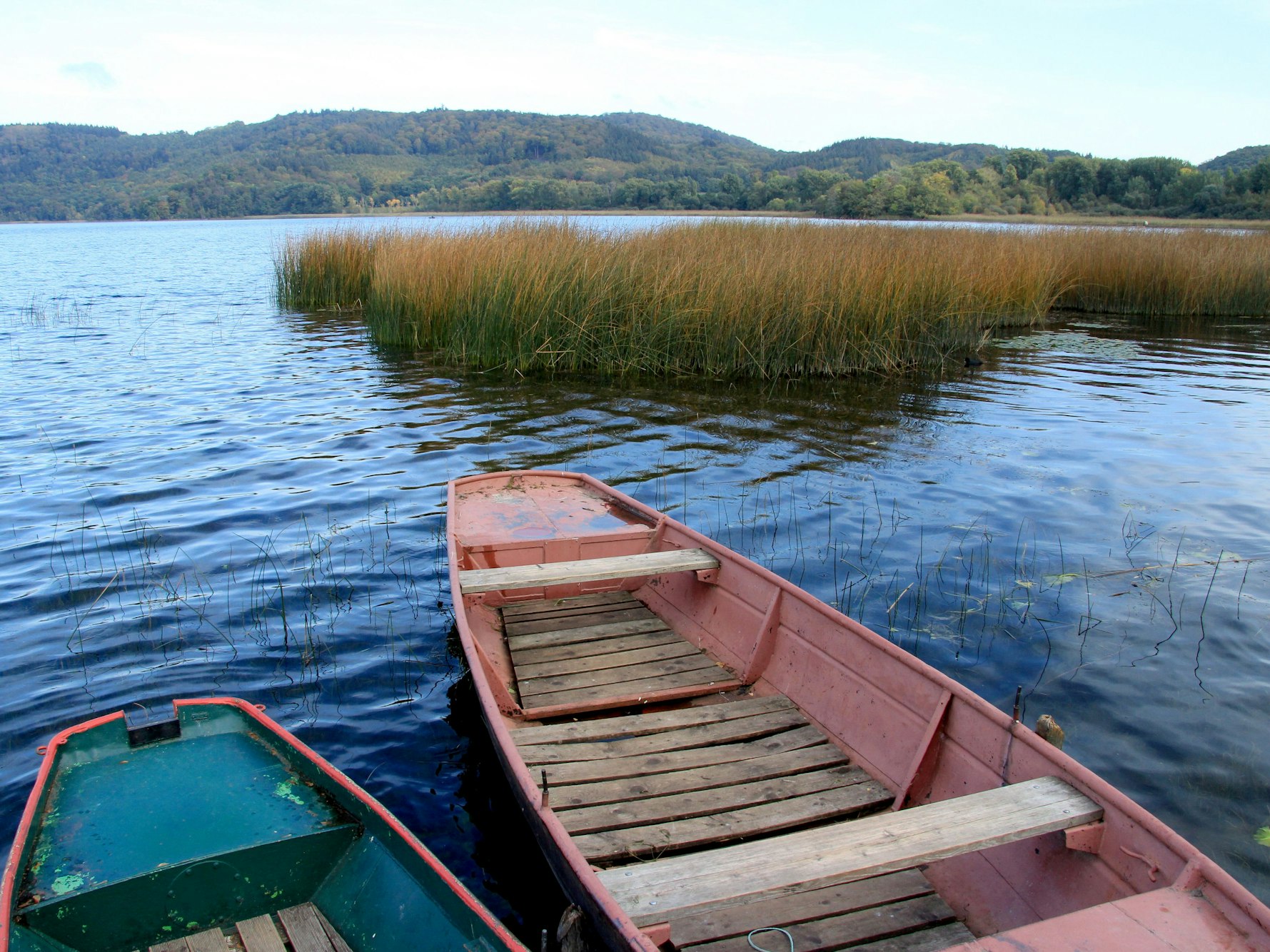 Der Laacher See ist der größte natürliche Mittelgebirgssee Deutschlands. (zu dpa: «Erde in Bewegung: Der Vulkanismus-Hotspot in der Eifel») +++ dpa-Bildfunk +++