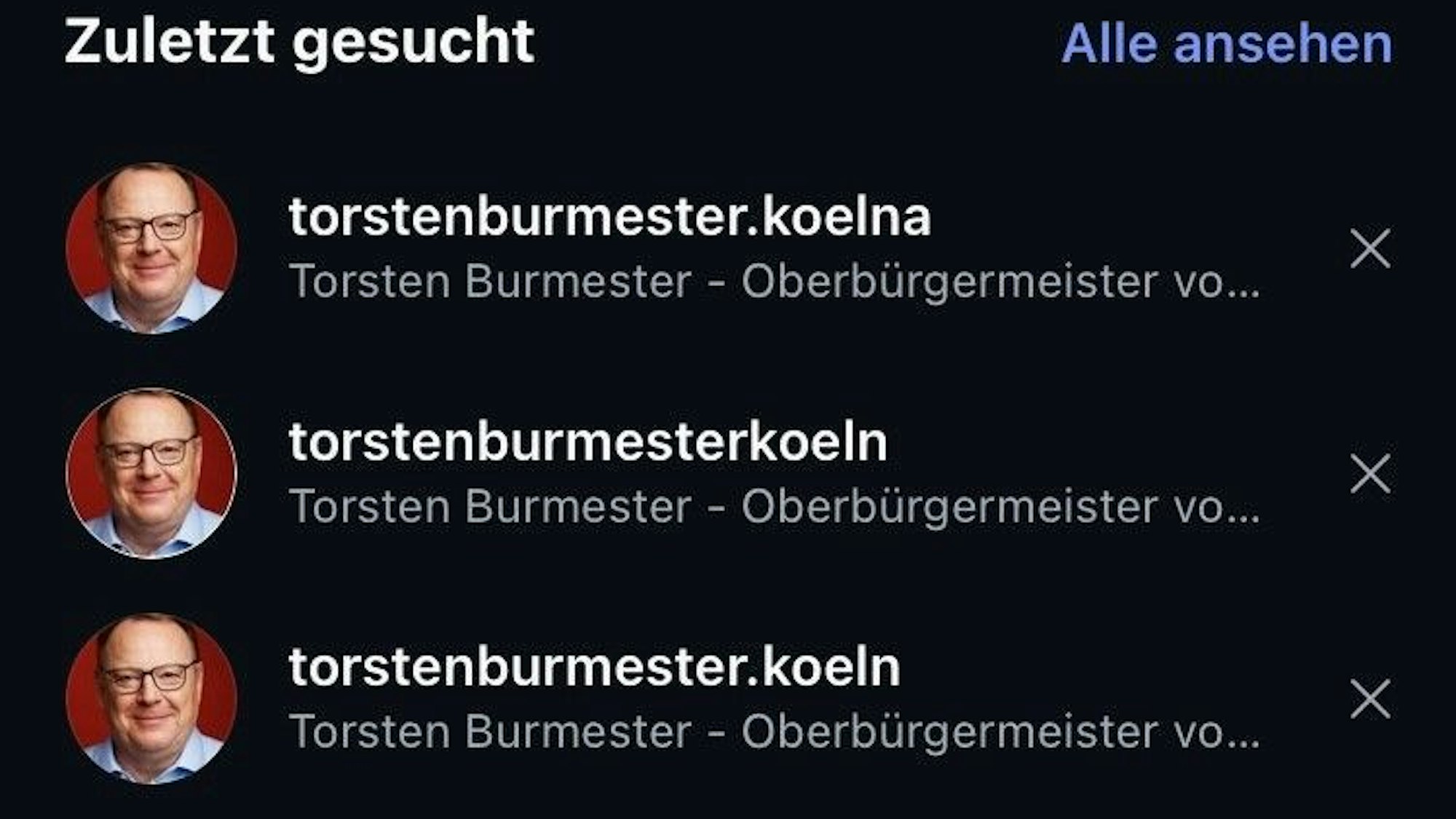 Screenshot der Instagram-Suche nach Torsten Burmester mit Fake-Profilen.
