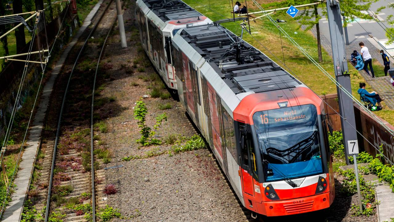 Eine Bahn mit der Nummer 16 ist unterwegs.