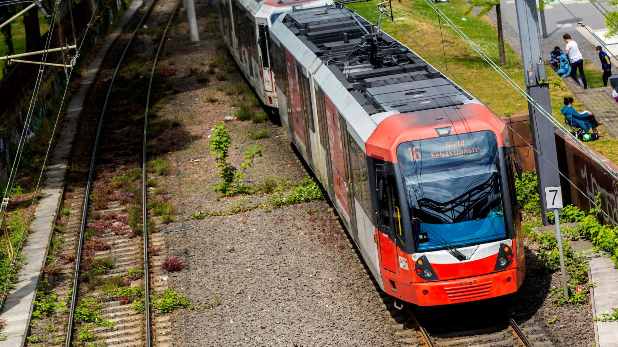 Eine Bahn mit der Nummer 16 ist unterwegs.