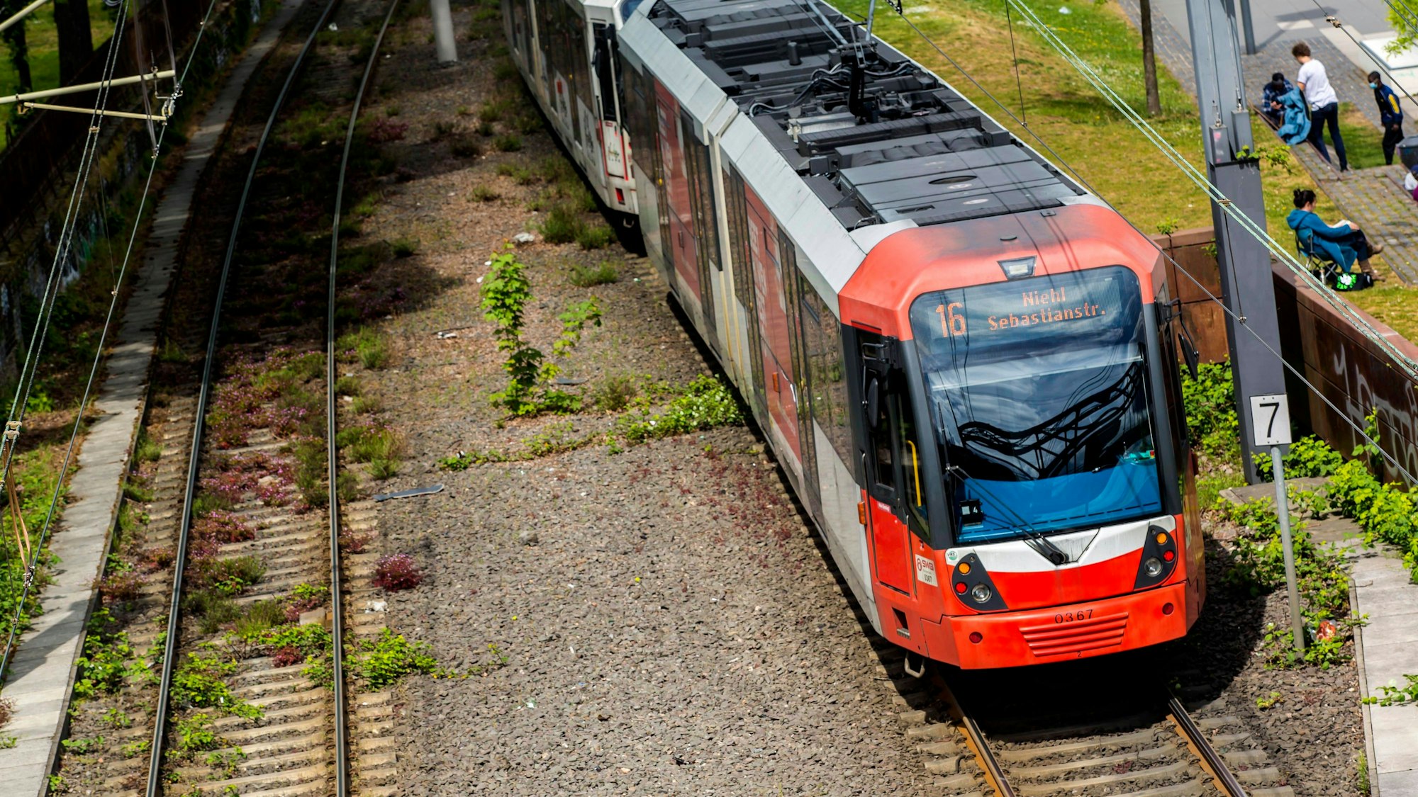 Eine Bahn der KVB-Linie 16 fährt am Rheinufer in Köln-Rodenkirchen (Archivfoto).