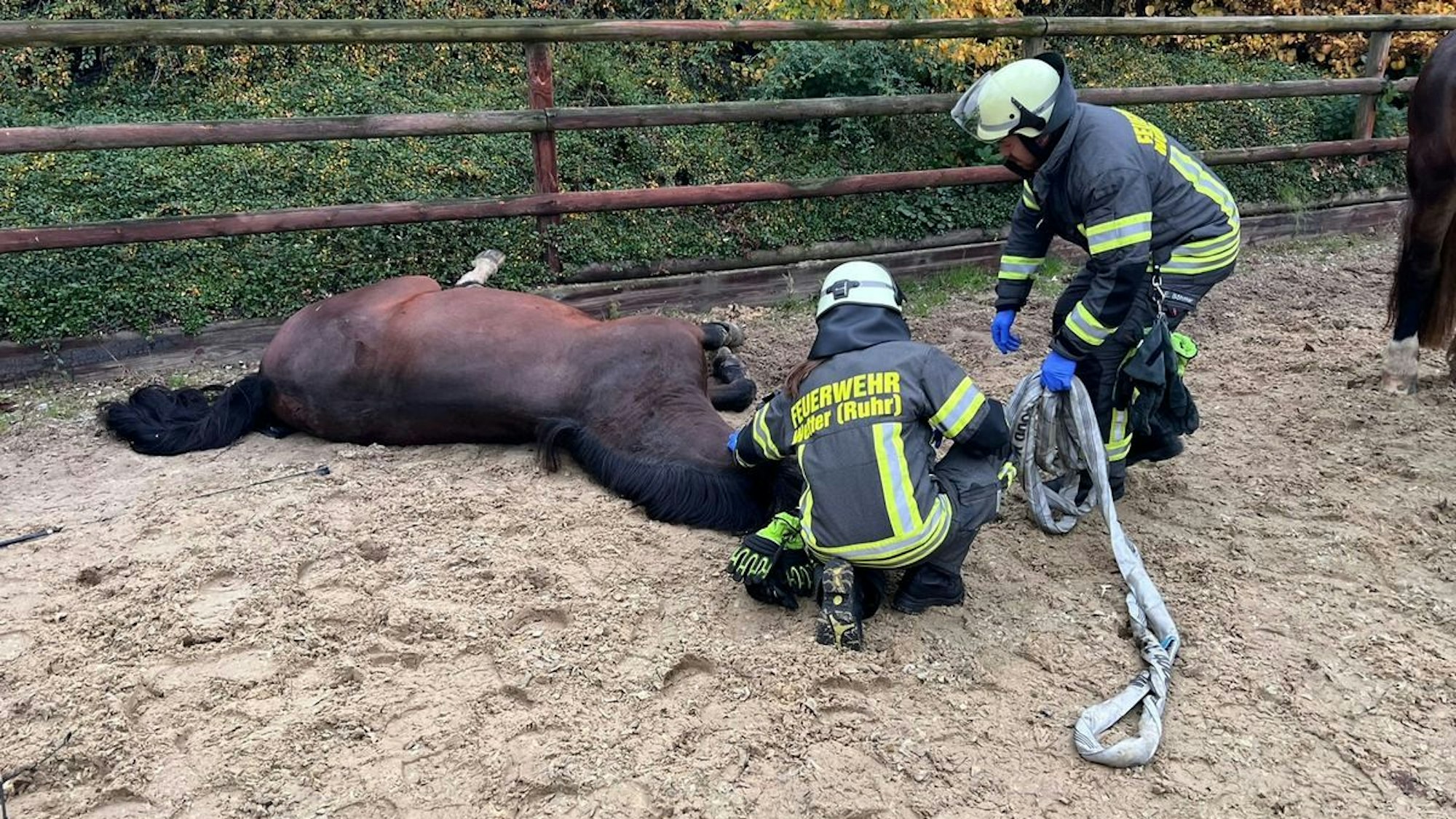 Eine Reiterin ist unter ihrem Pferd eingeklemmt (Bild der Feuerwehr Wetter).