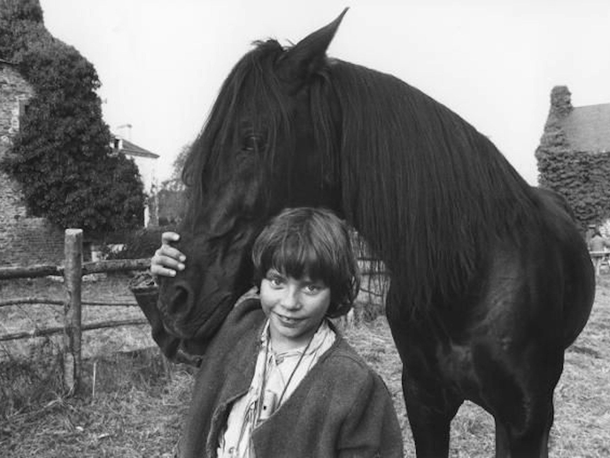 Ein Junge hält ein Pferd am Kopf.