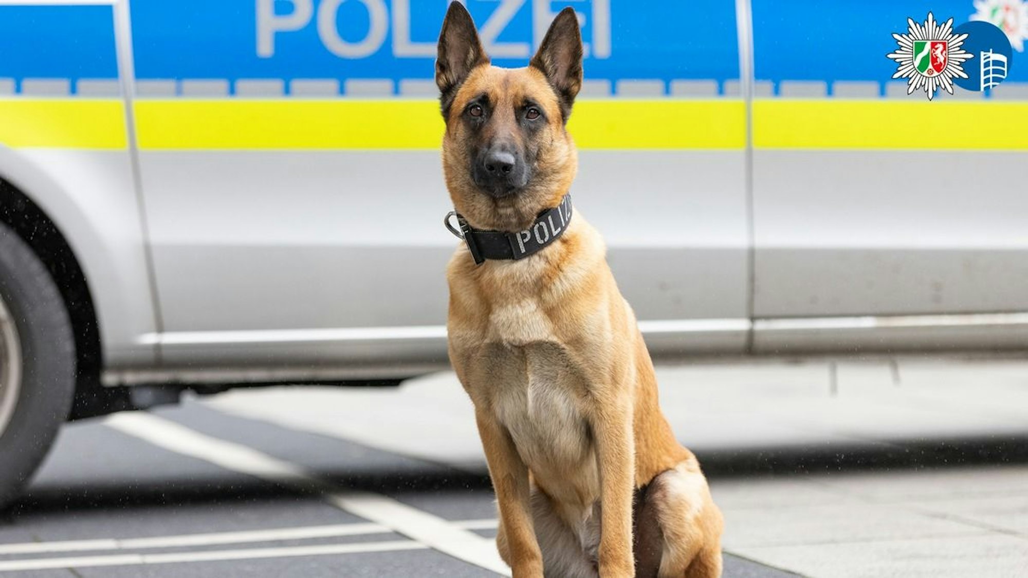 Schlägerei im Königshütter Park - Polizeipräsenz verhindert Schlimmeres