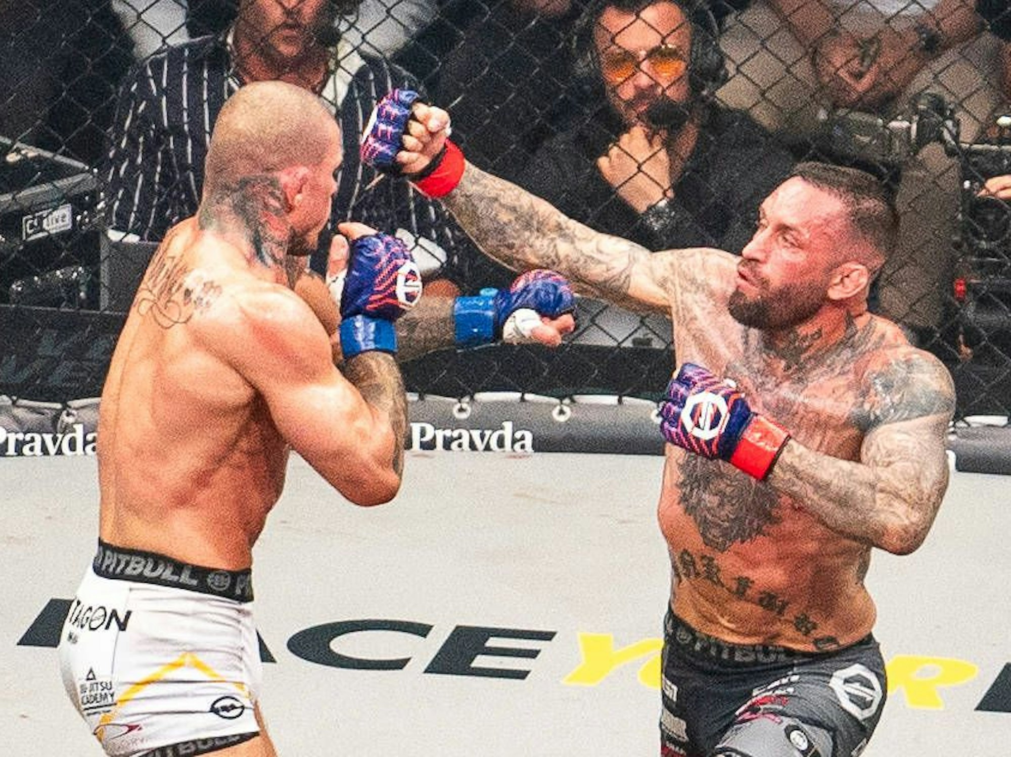 Christian Eckerlin kämpft gegen Robert Pukac im Käfig.