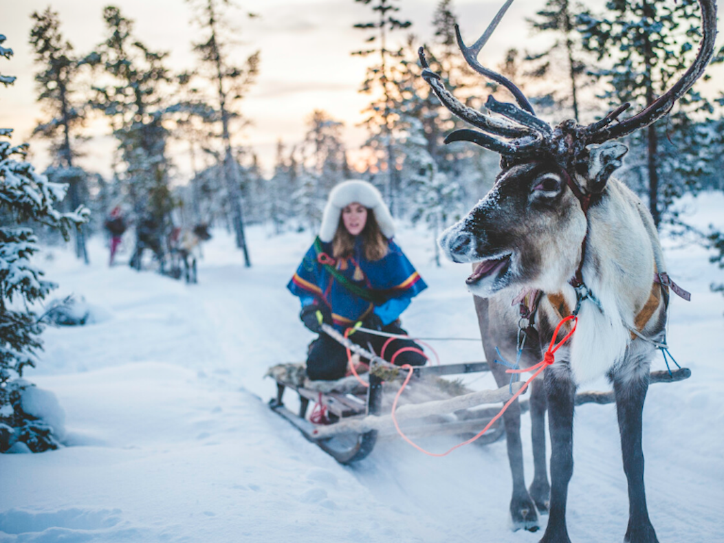 Im Vordergrund ist ein Rentier mit prächtigem Geweih zu sehen, das einen traditionellen Schlitten durch eine tief verschneite Landschaft zieht.