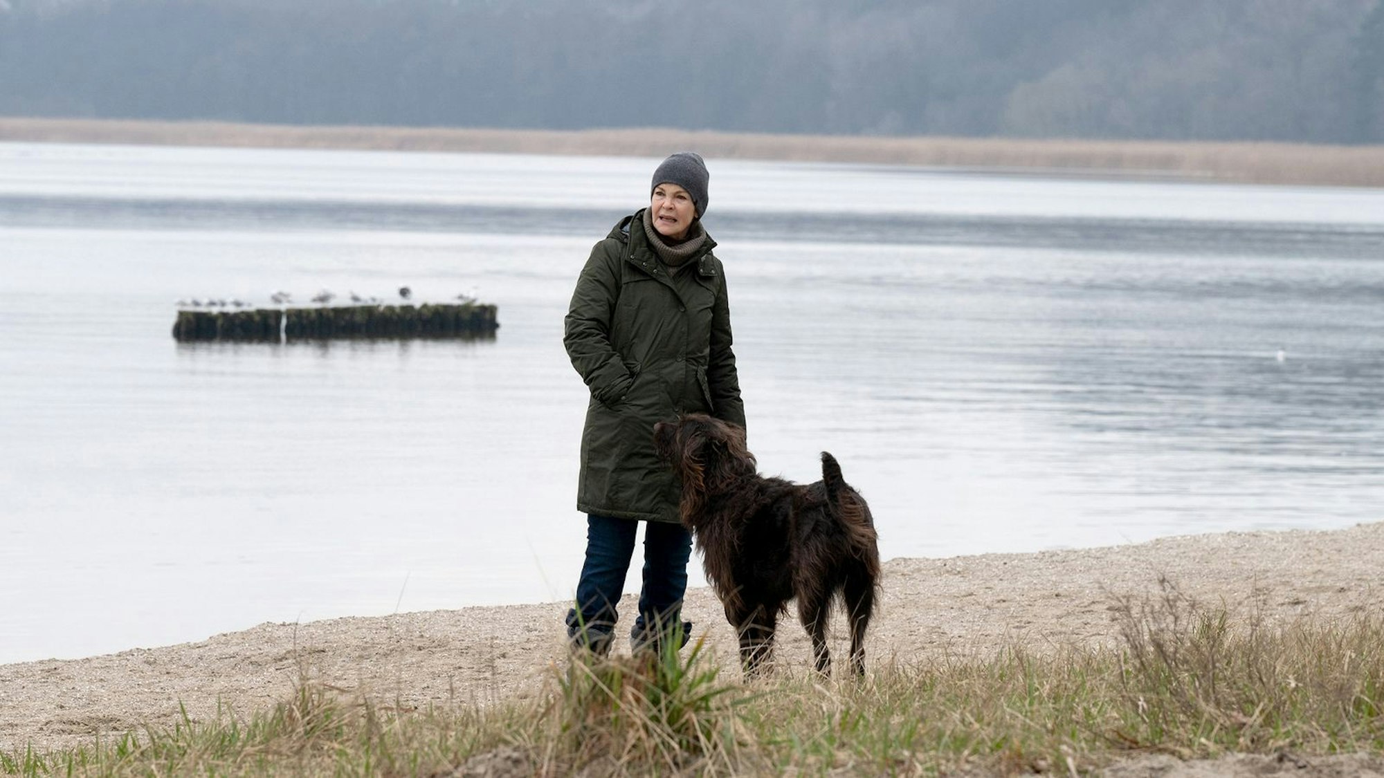 Ich habe gesagt, die Leute mögen das“: Im „Usedom-Krimi“ spielt Katrin Sass zusammen mit ihrem privaten Hund. (Bild: NDR/ARD Degeto/Florian Kaposi)