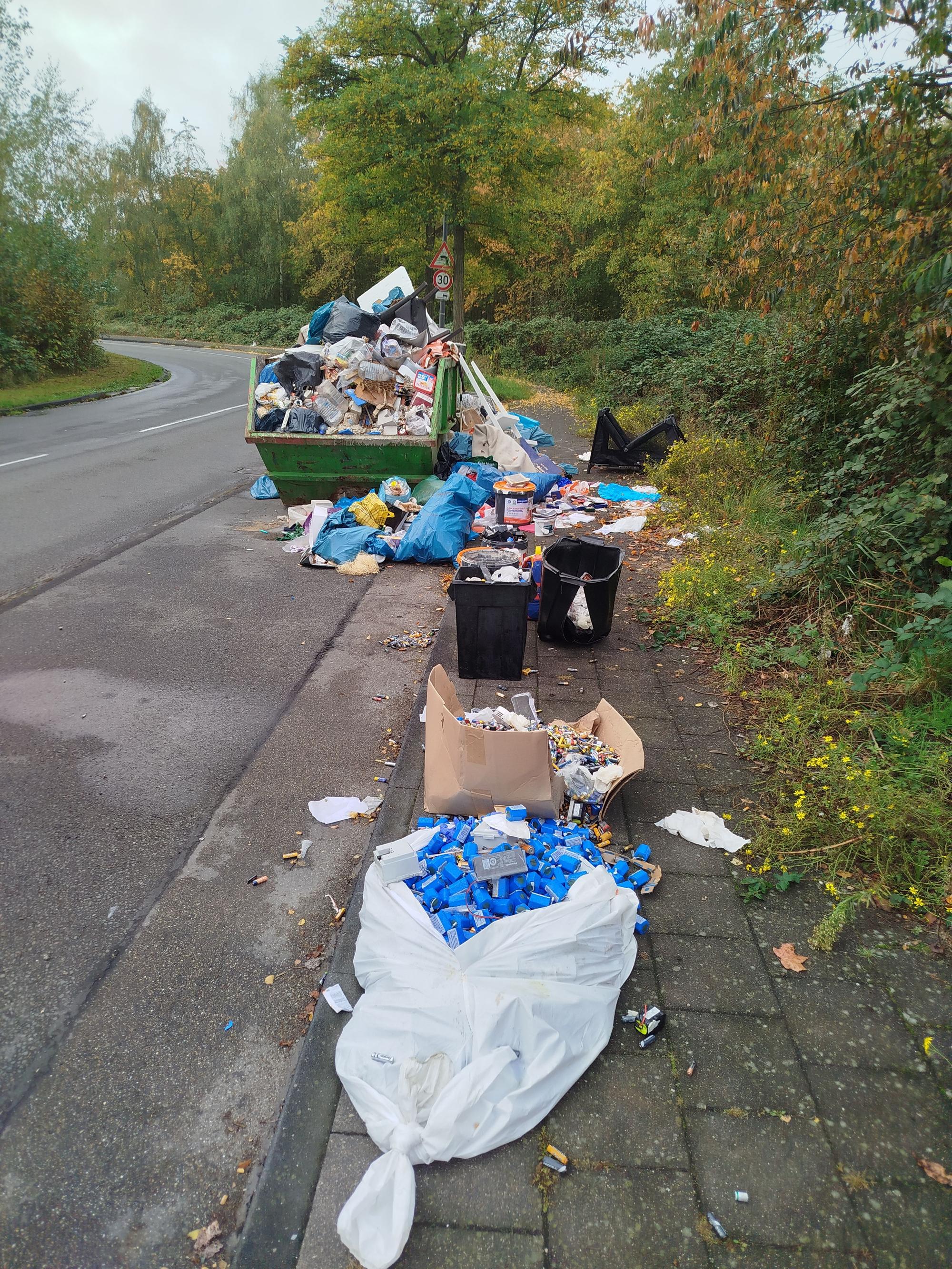 Ein ganzer Karton voller alter Batterien wurde auf dem Gehweg abgeladen.