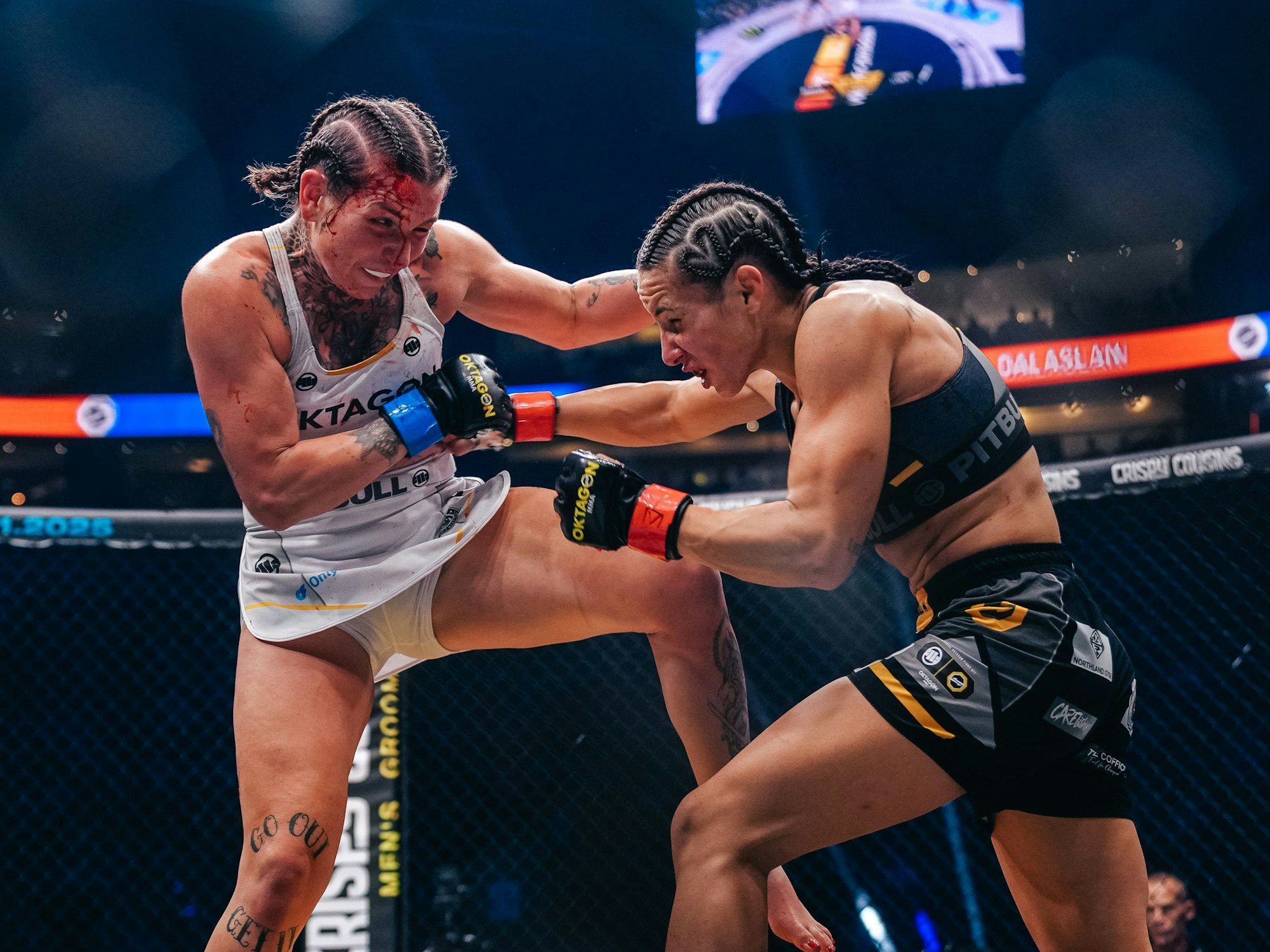 Katharina Lehner kämpft gegen Alina Dalaslan.