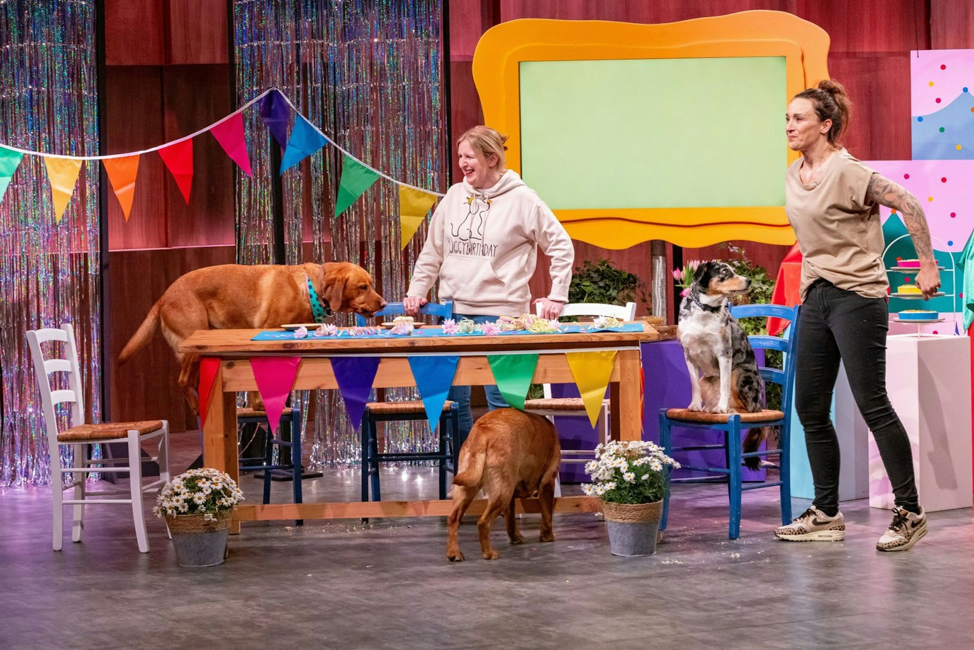 Lustiger Tumult: Wegen der vielen Hunde auf der Bühne gestaltete sich die „Doggybirthday“-Produktion zwischenzeitlich ein wenig chaotisch. (Bild:  RTL / Bernd-Michael Maurer )