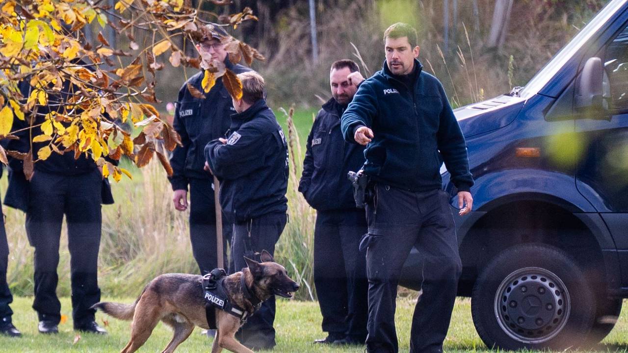 Ein Leichenspürhund durchsucht ein Grundstück in Tauche (Landkreis Oder-Spree).