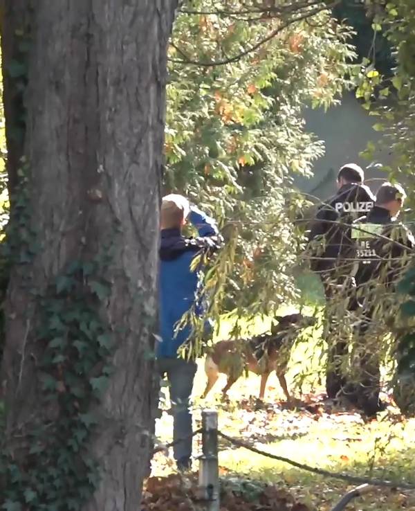Einsatzkräfte der Polizei arbeiten auf einem Grundstück in Tauche (Landkreis Oder-Spree). Im Fall der seit mehr als sechs Jahren vermissten Rebecca aus Berlin-Neukölln sucht die Polizei auf einem Grundstück in Brandenburg nach Beweismitteln wegen des Verdachts eines Tötungsdelikts.