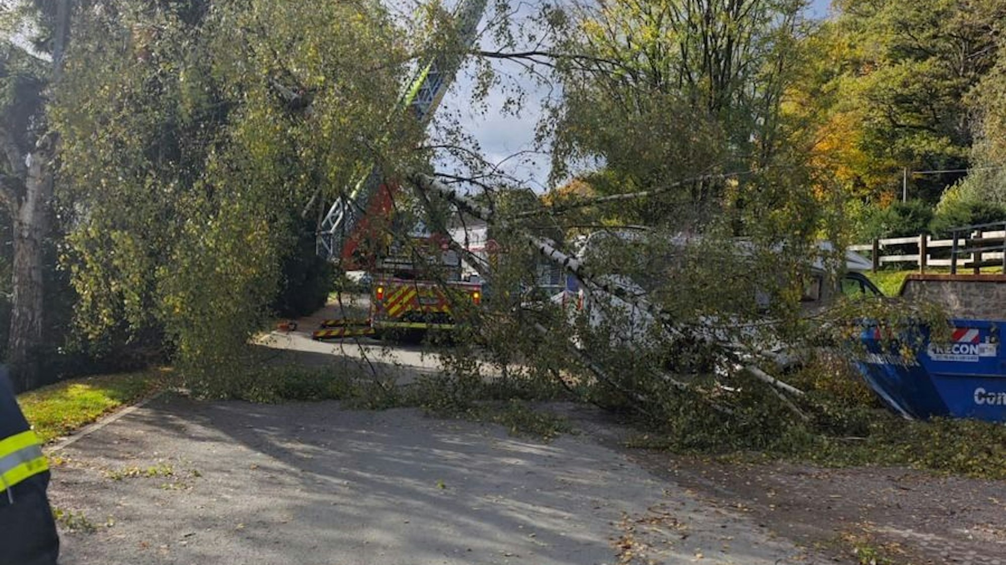 Die Feuerwehr zerlegt eine umgestürzte Birke auf einer Straße.