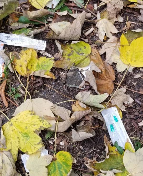 Gebrauchte Drogenspritzen liegen im Von-Stein-Park in der Kölner Südstadt.