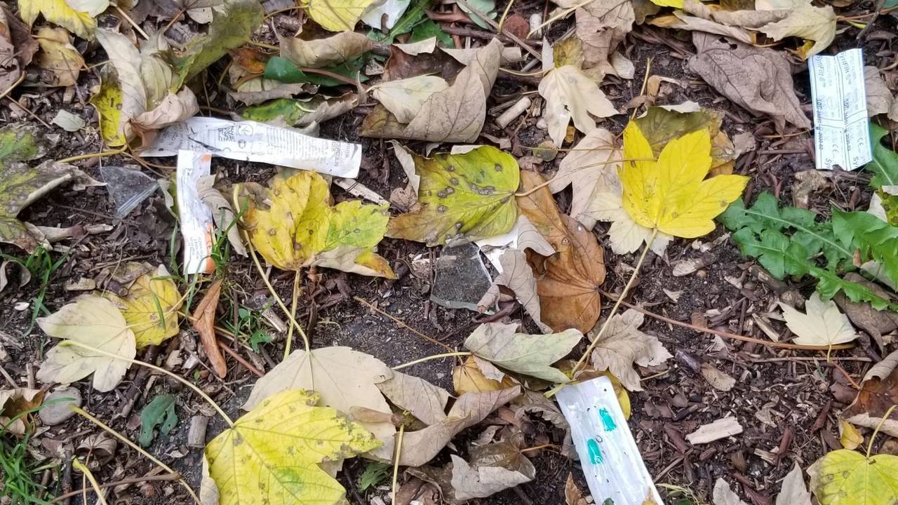 Gebrauchte Drogenspritzen liegen im Von-Stein-Park in der Kölner Südstadt.