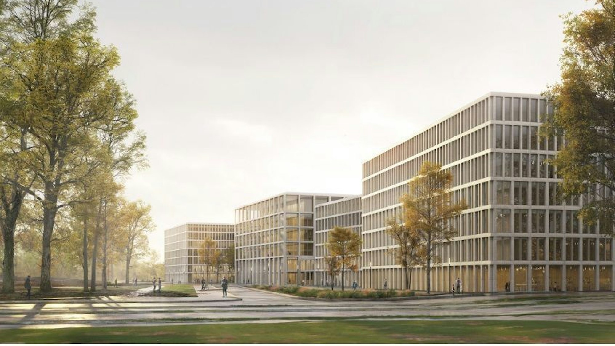 Plan für das neue Justizzentrum: Mehrere, fast baugleiche Gebäude stehen nebeneinander.