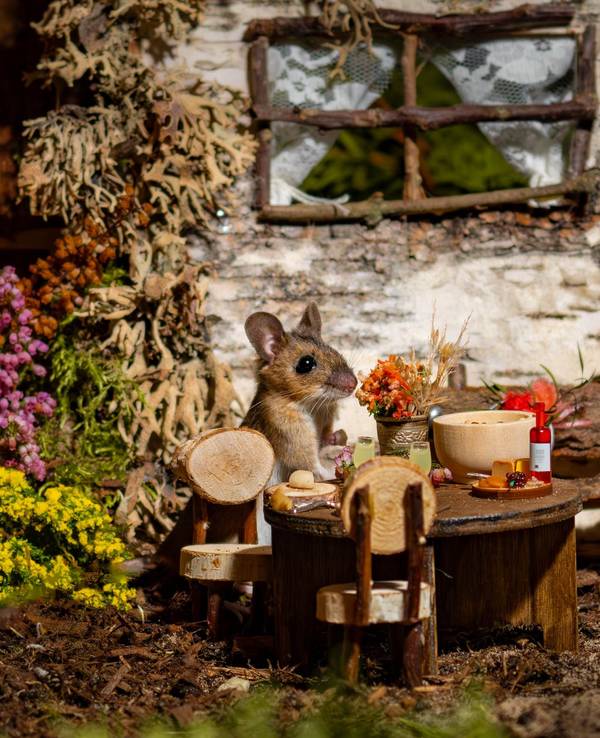 Eine Maus sitzt an einem kleinen Tisch in einem Puppenhaus