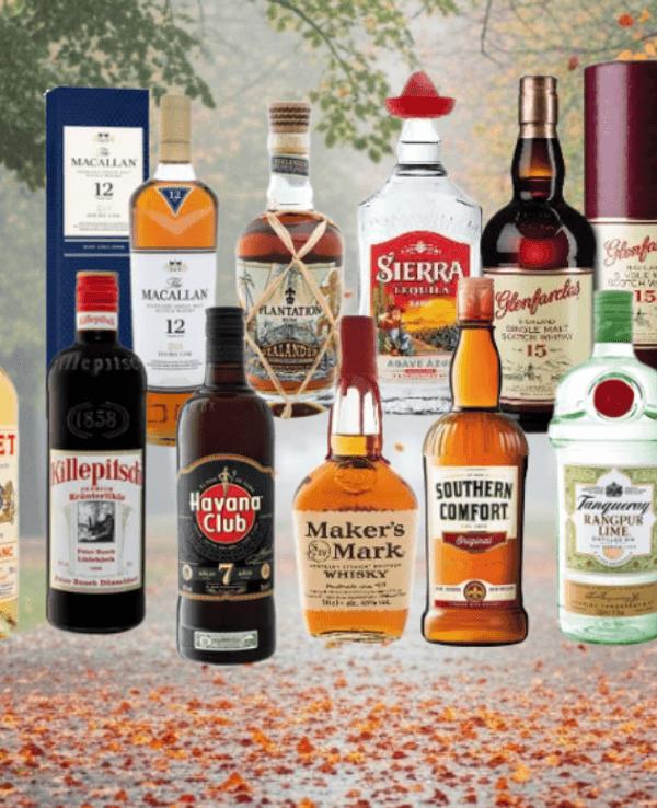 Alkoholflaschen Whisky, Gin, Rum, Tequila, Lillet vor einem herbstlichen Hintergrund.