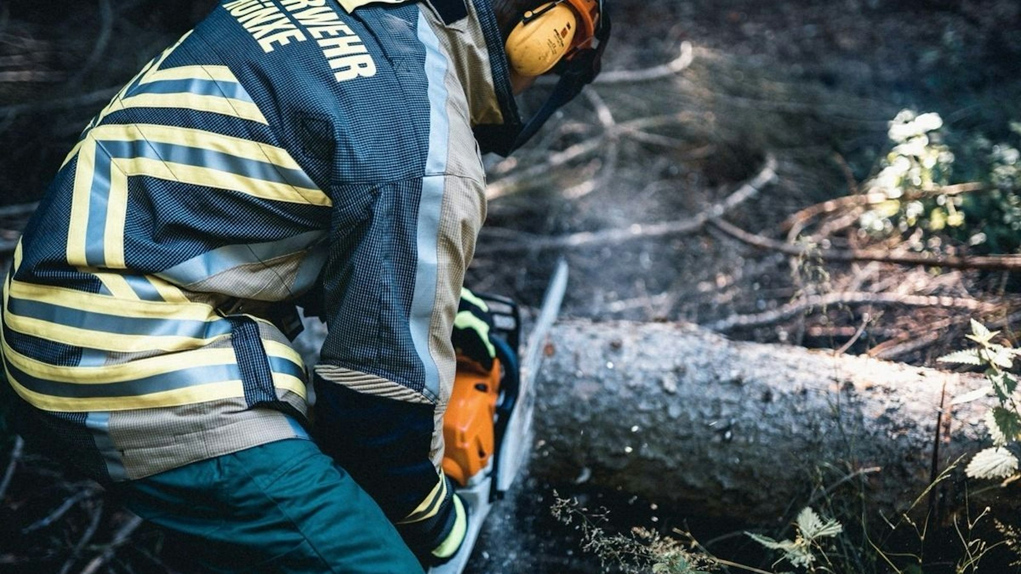 Ein von der Feuerwehr zerlegter Baum liegt auf einer Straße.