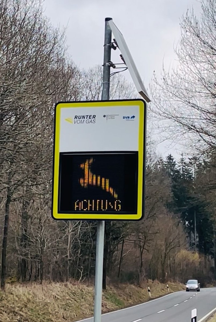 Ein dreieckiges Verkehrsschild mit einem springenden Hirsch warnt vor Wildwechsel am Straßenrand.
