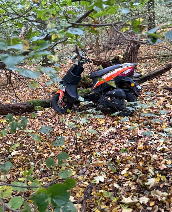 Am Aachener Weiher wurde ein Motorroller im Gebüsch entsorgt.