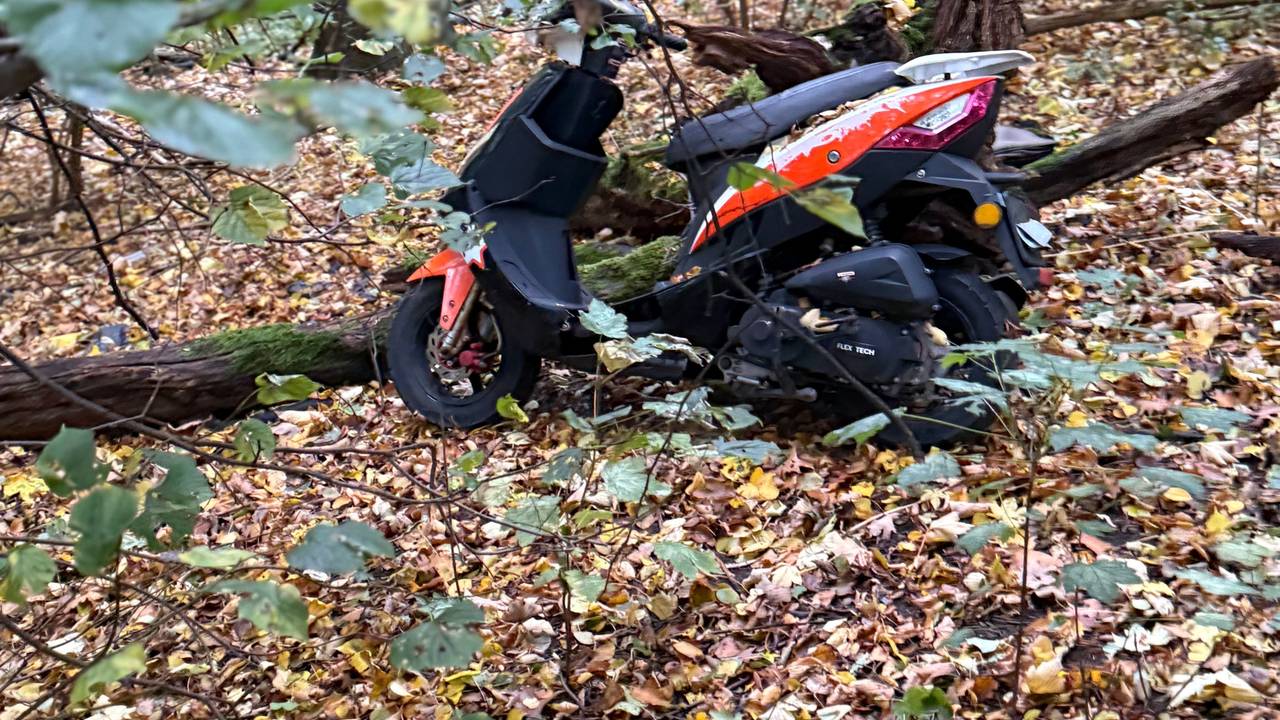 Am Aachener Weiher wurde ein Motorroller im Gebüsch entsorgt.