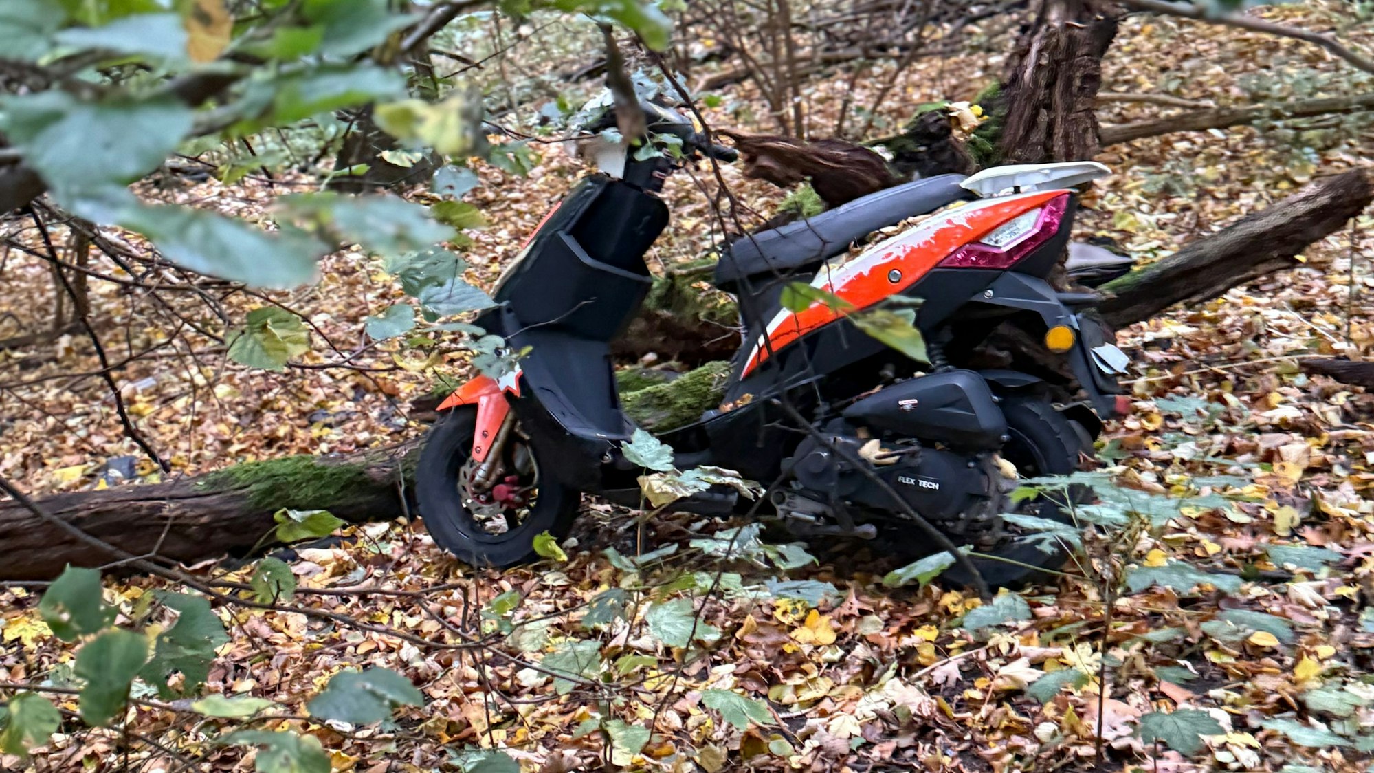 Am Aachener Weiher wurde ein Motorroller im Gebüsch entsorgt.