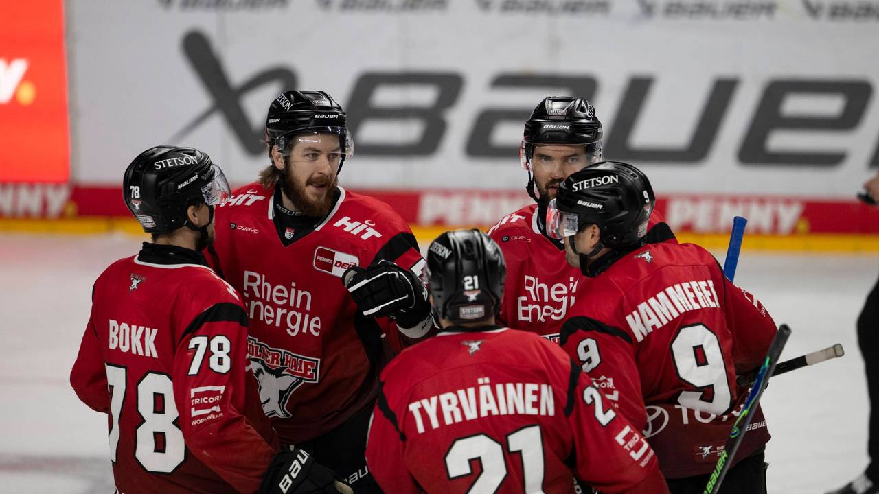 Die Spieler der Kölner Haie bejubeln einen Treffer.
