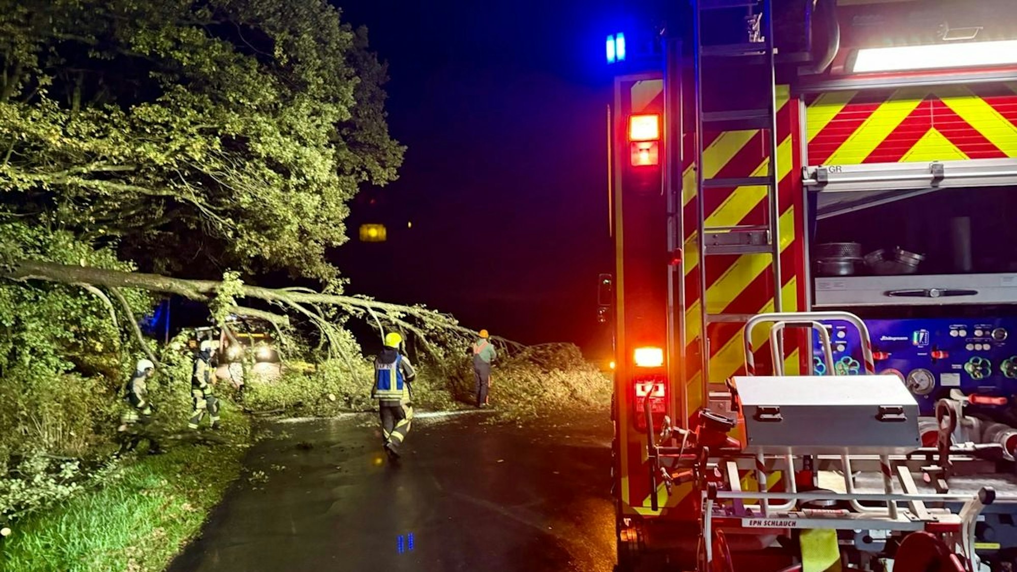 Ein von der Feuerwehr zerlegter Baum liegt am Straßenrand.