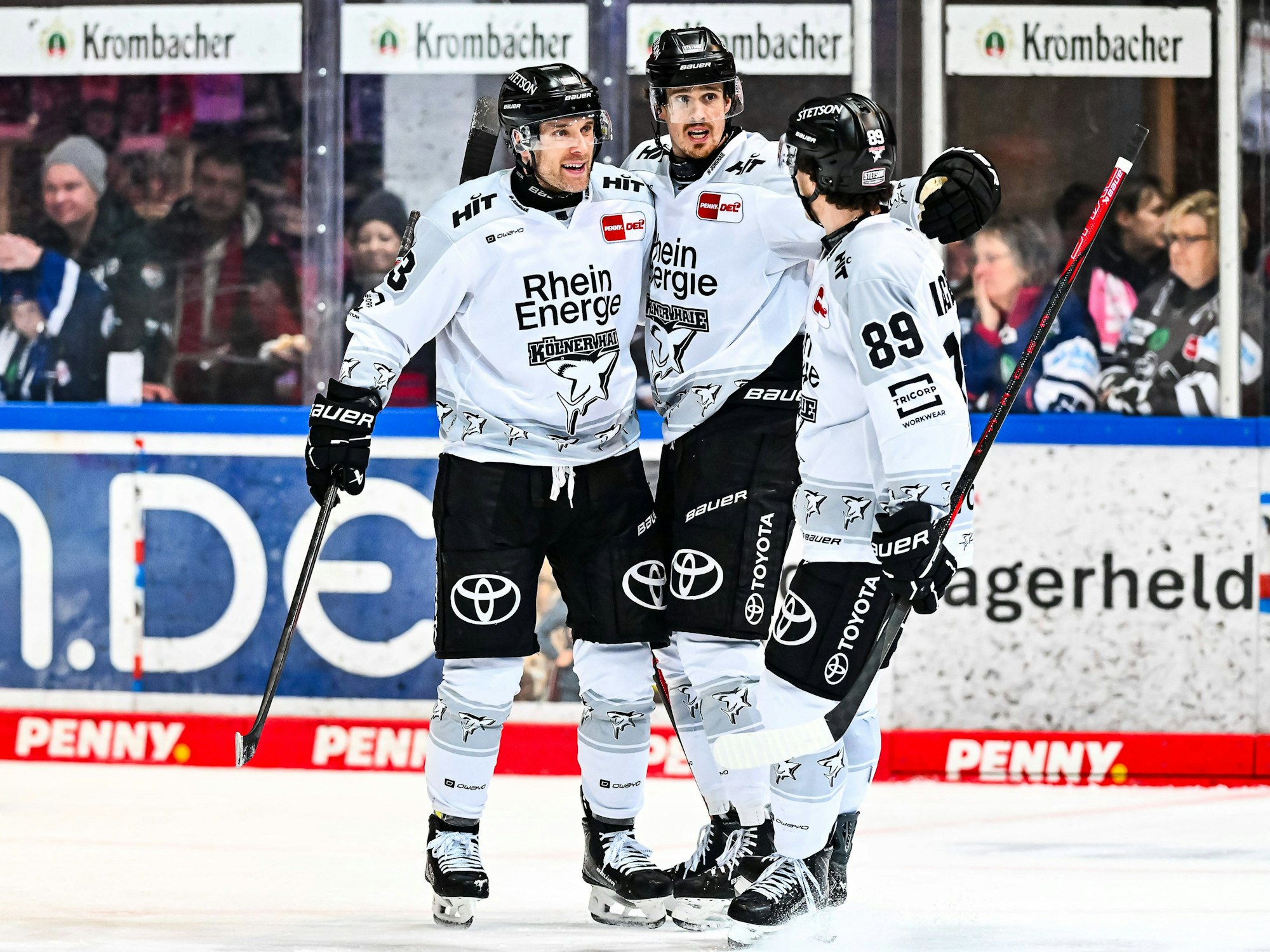 Die Spieler der Kölner Haie jubeln gemeinsam.