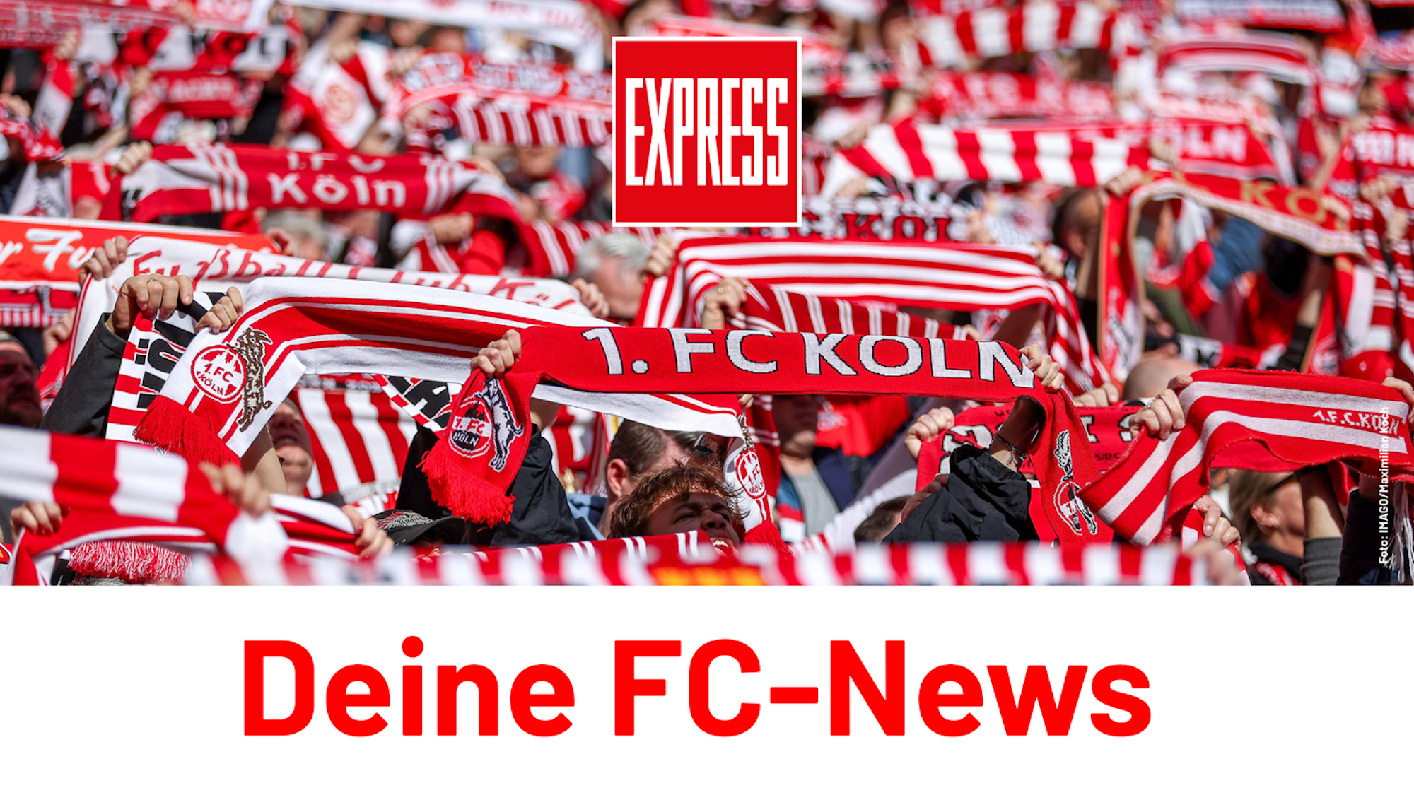 Fans des 1. FC Köln feiern im RheinEnergieStadion