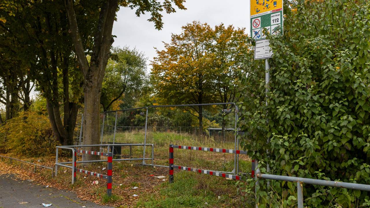 Ein Spielplatz in Köln ist überwuchert und