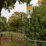 Ein Spielplatz in Köln ist überwuchert und