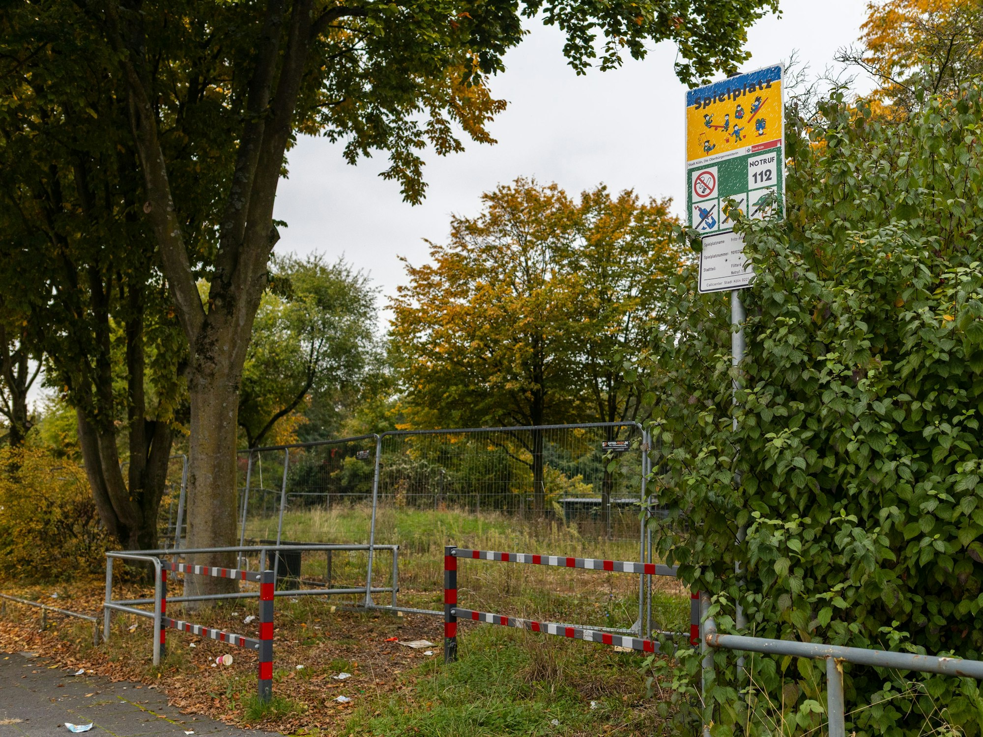 Ein Spielplatz in Köln ist überwuchert und
