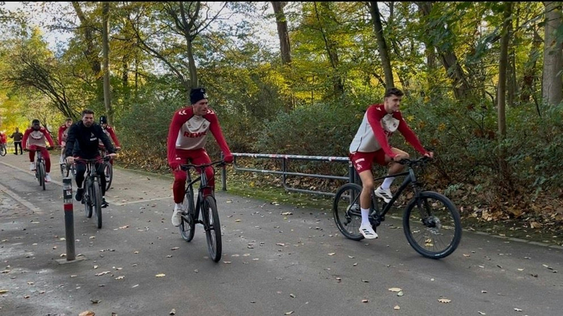 Die Profis des 1. FC Köln am Donnerstag im Training auf dem Fahrrad.