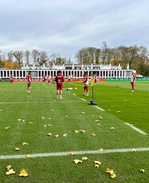 Training beim 1. FC Köln am 31. Oktober 2025.
