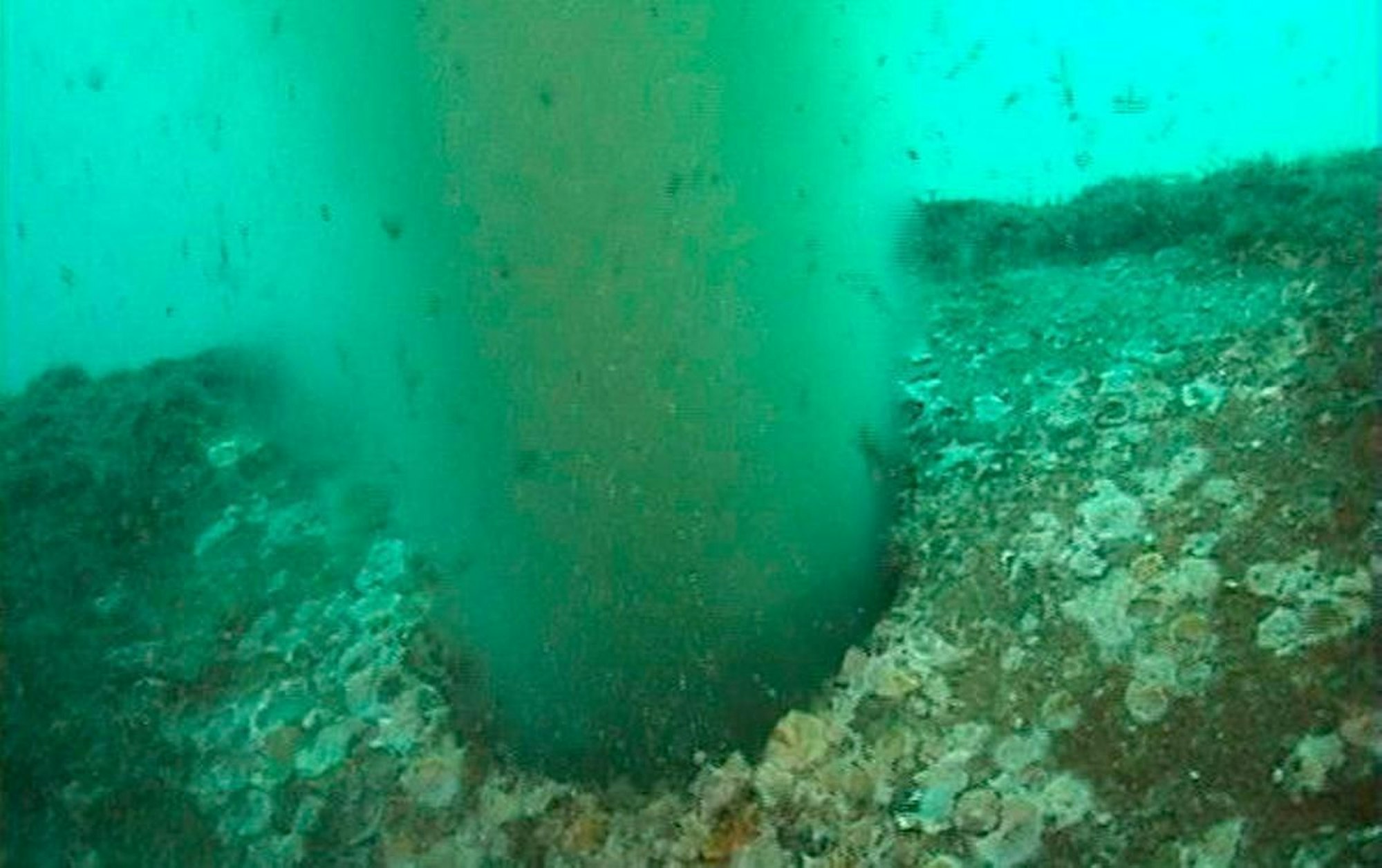 Die Umweltorganisation GOB hat die Regierung schon vor Jahren aufgefordert, dringend gegen die Einleitung von unzureichend geklärtem Abwasser aus Kläranlagen vorzugehen.