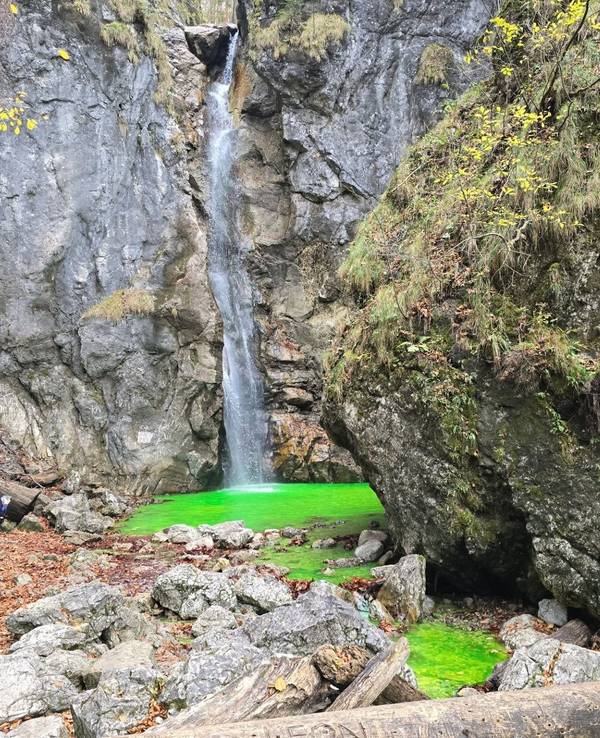 Das Wasser eines Bachs ist neogrün.