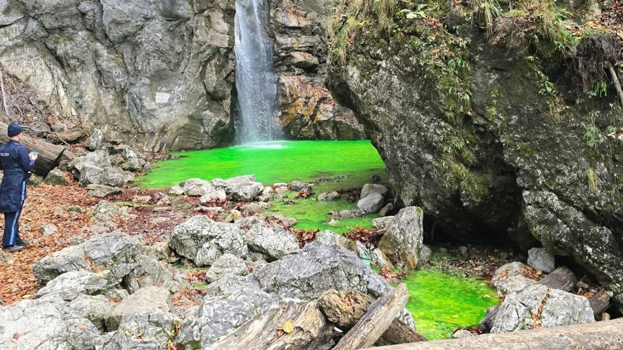 Das Wasser eines Bachs ist neogrün.