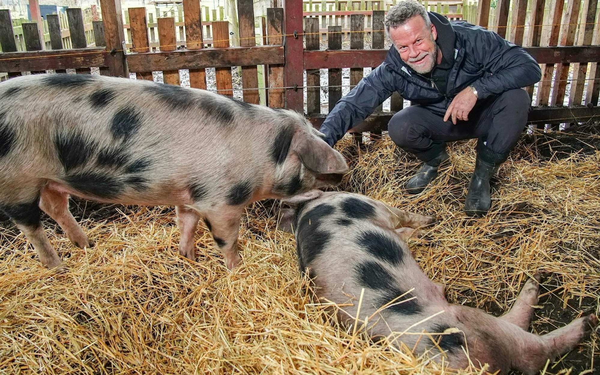 „Tiere lieben und Tiere essen - Wie viel Fleisch muss sein?“ - Das wollte Jenke von Wilmdsdorff für einen weiteren Film wissen. (Bild: RTL / Verena Sieben)