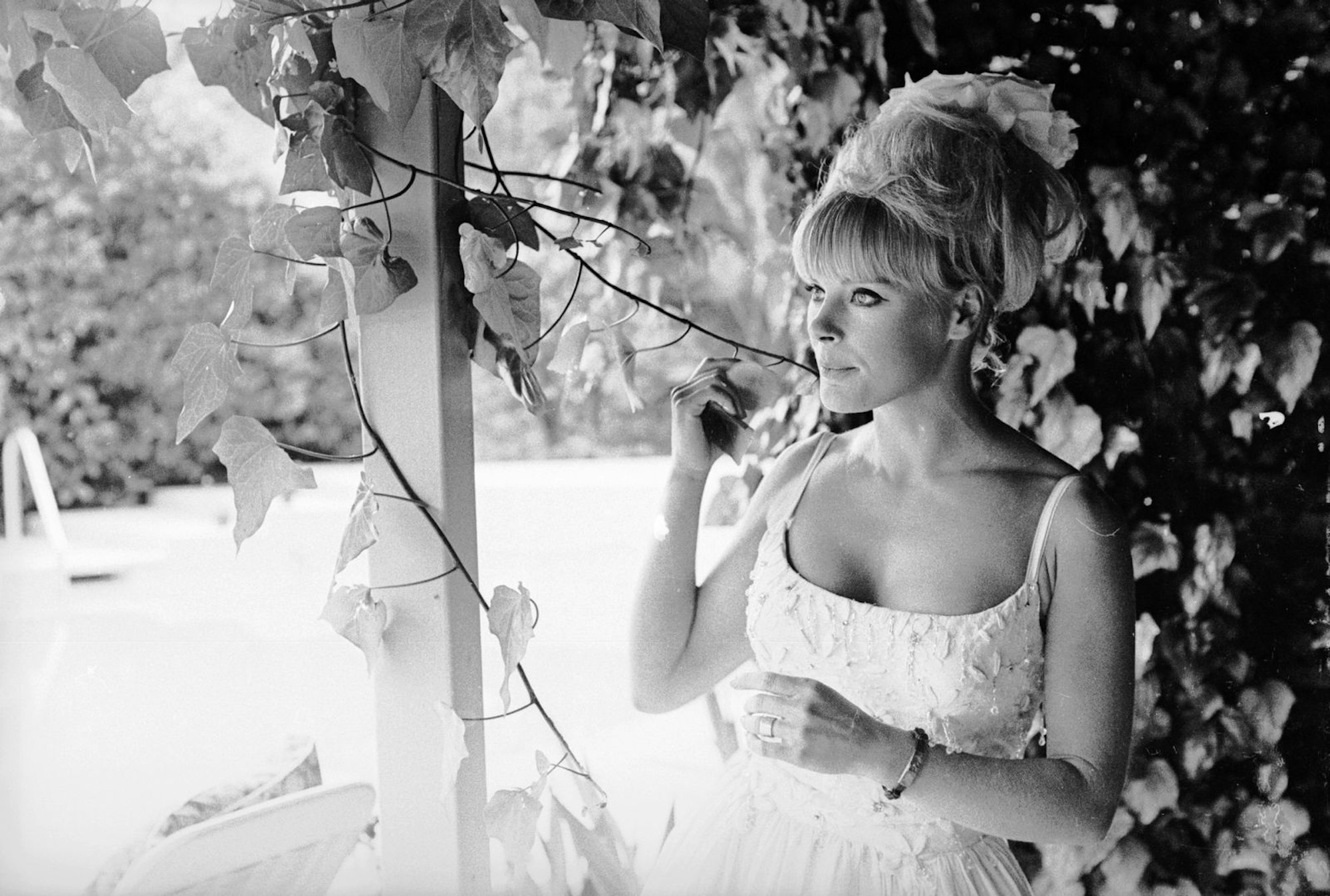 Elke Sommer auf ihrem Anwesen in Beverly Hills. 1964 zog sie nach Los Angeles - dem Jahr ihres Golden-Globe-Triumphs. (Bild: Harry Benson/Express/Getty Images)
