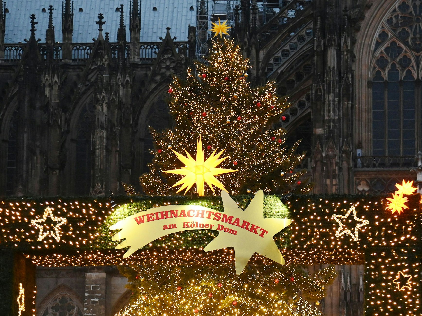 Immer wieder ein Hingucker – der Weihnachtsbaum auf dem Weihnachtsmarkt am Kölner Dom (Archivfoto)