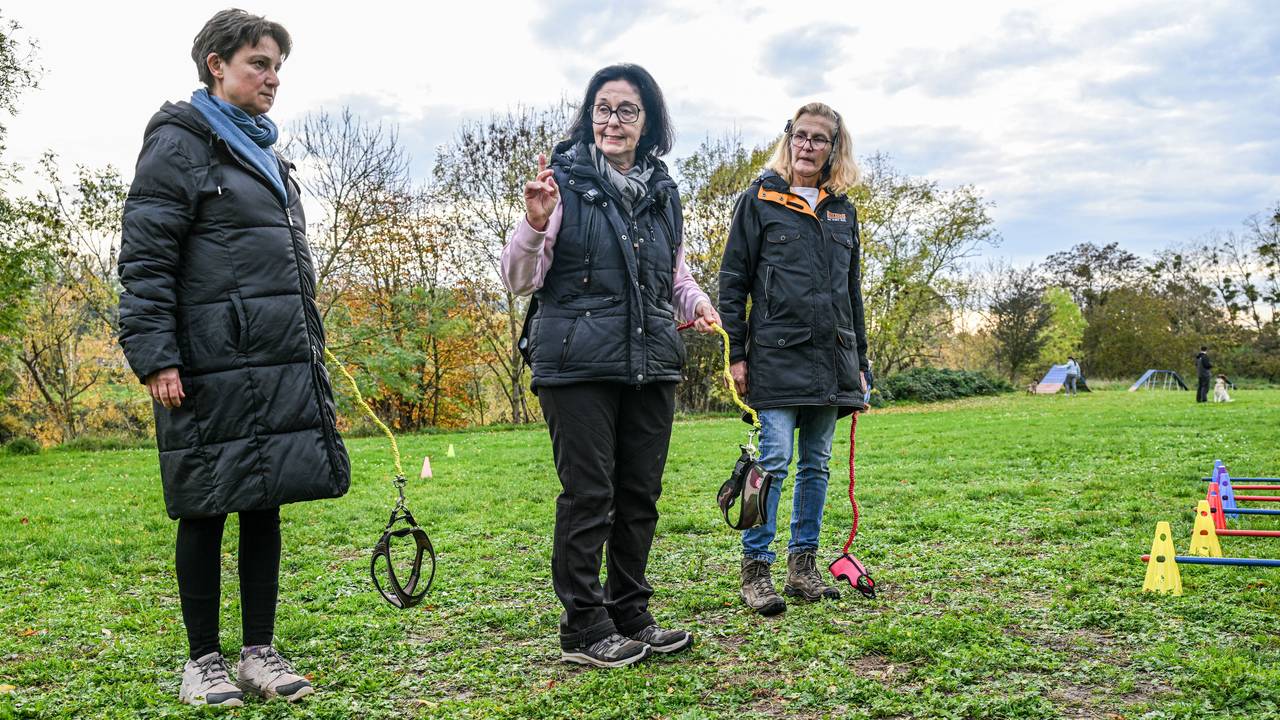 Hundetrainerin Barbara Gerlinger (Mitte) hält eine Hundeleine in der Hand und erklärt Teilnehmern des Kurses das Hobby-Dogging. Beim Hobby-Dogging tut man Dinge, die man mit einem Hund tun würde - nur eben ohne Tier.