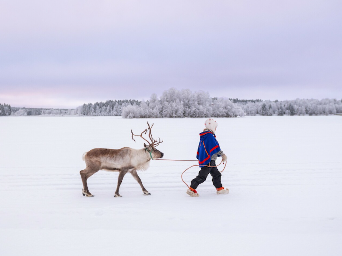 Das Bild zeigt ein Kind, das mit einem Rentier an einer Leine durch eine verschneite Winterlandschaft spaziert.