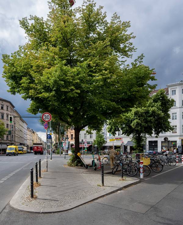 In Kreuzberg soll die Polyhochzeit stattgefunden haben (Symbolfoto).