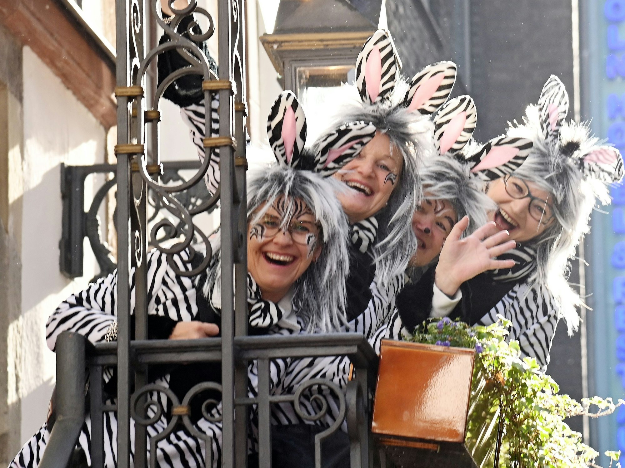 Tierische Kostüme halten warm und trocken.
