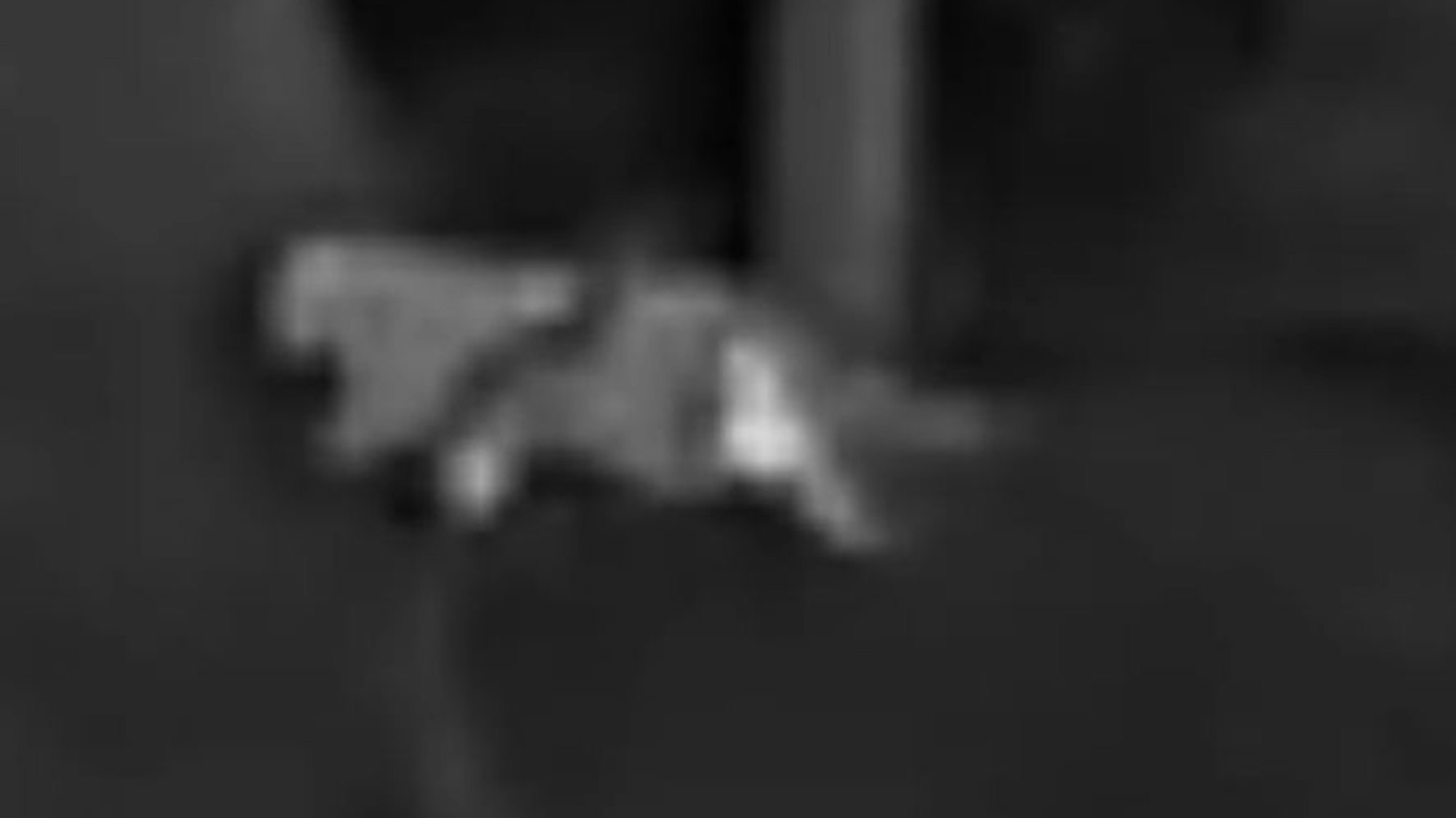 In einem Waldgebiet bei Kalenborn (Landkreis Ahrweiler in Rheinland-Pfalz) hat ein Jäger dieses Foto von einer vermeintlichen Großkatze aufgenommen.