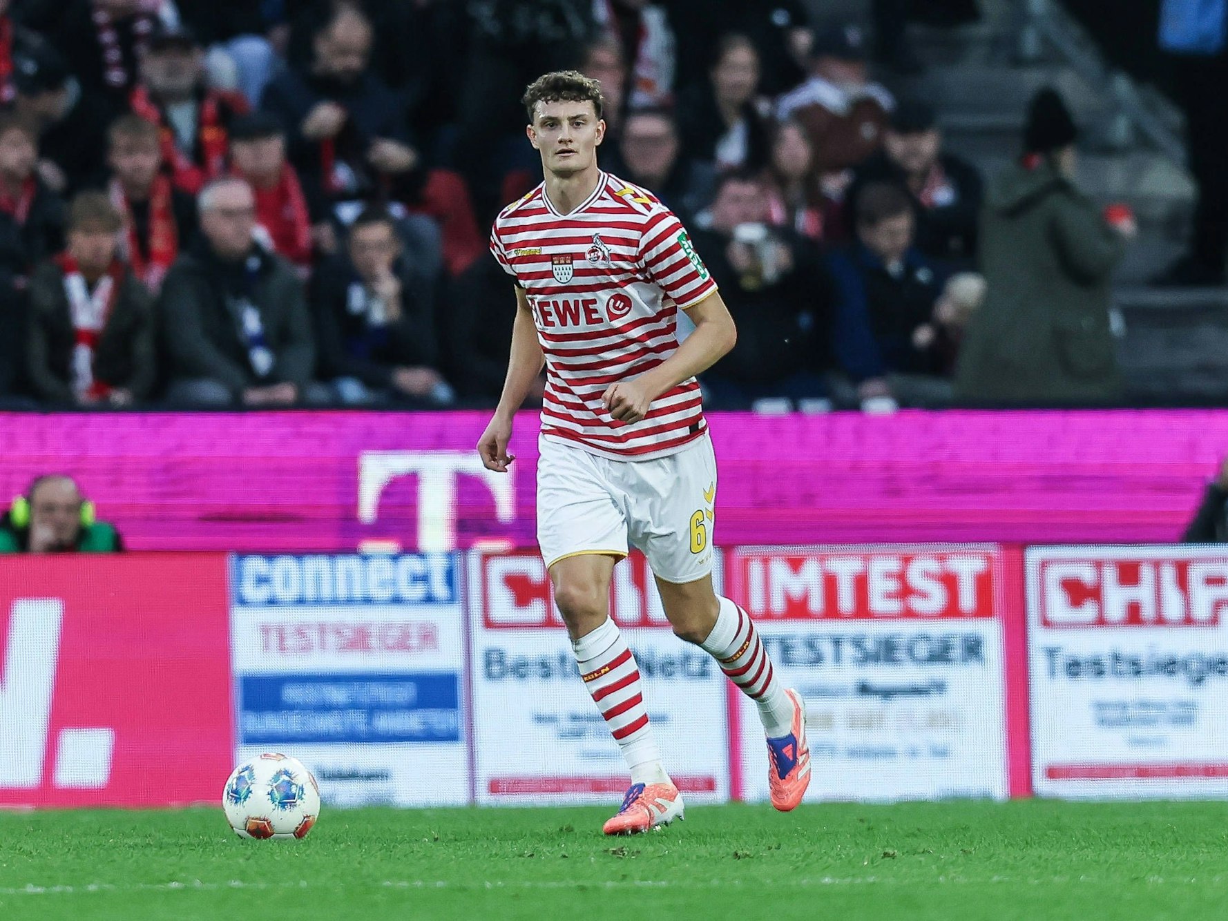 Eric Martel trägt das Karnevalstrikot des 1. FC Köln.