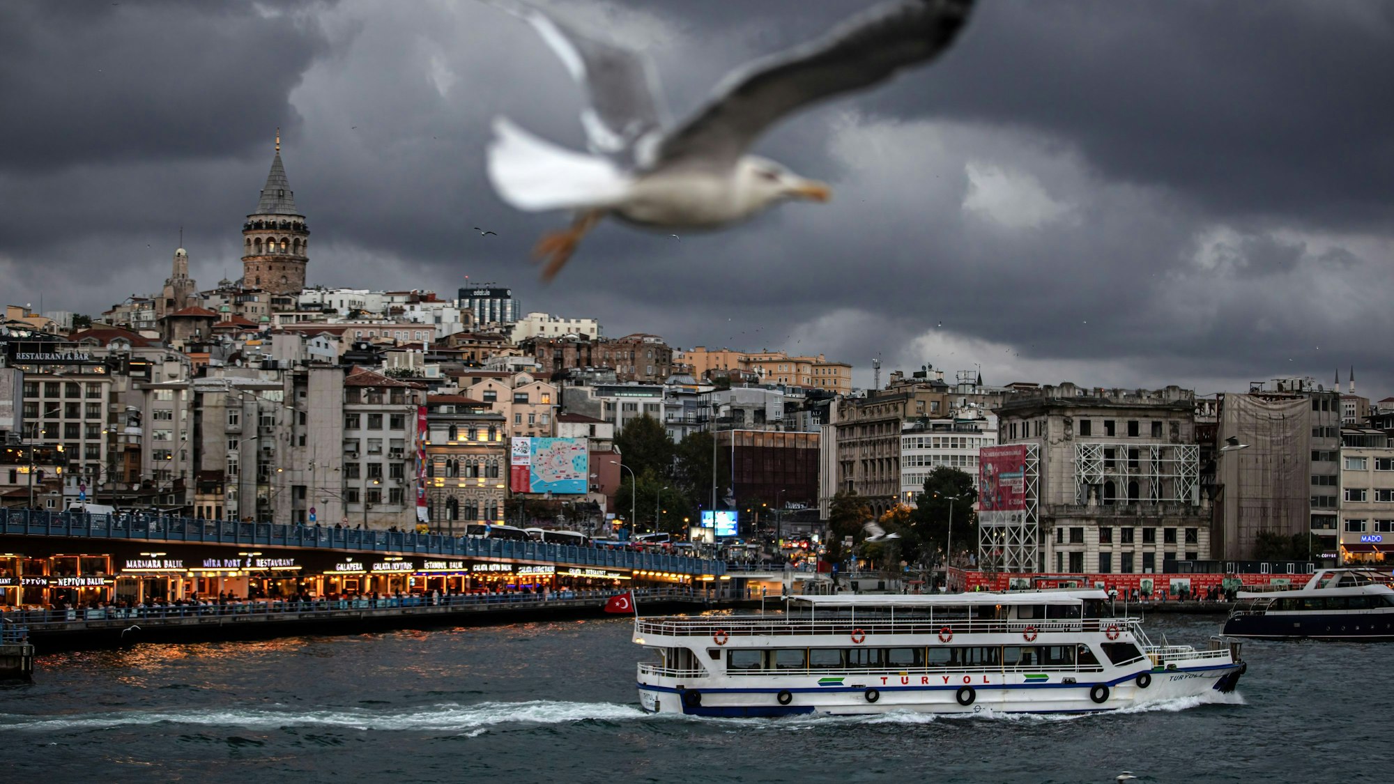 Eine Möwe fliegt bei bewölktem Wetter über Wasser, auf dem ein Boot fährt. Im Hintergrund beginnt eine Stadt.