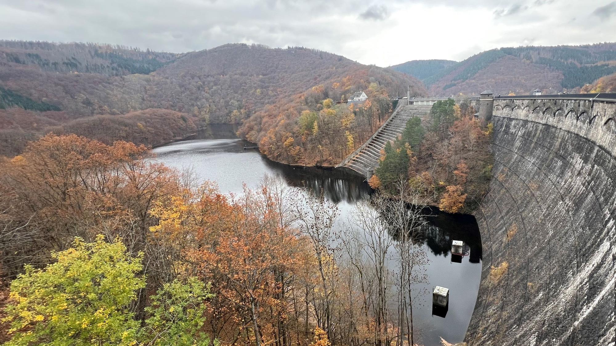 Eine hohe, verwitterte Staumauer steht in einem See, dahinter herbstlich gefärbter Laubwald.